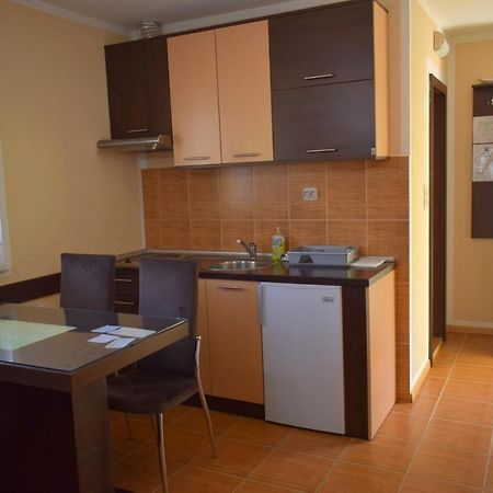Apartmani Radoicic Josanicka Banja 外观 照片