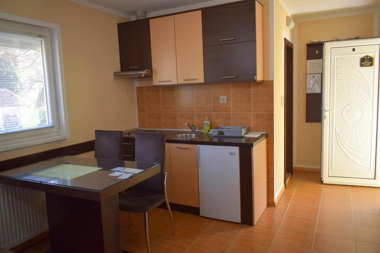 Apartmani Radoicic Josanicka Banja 外观 照片