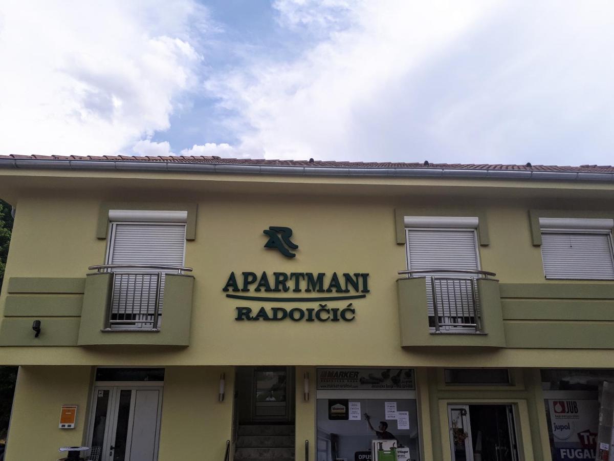 Apartmani Radoicic Josanicka Banja 外观 照片