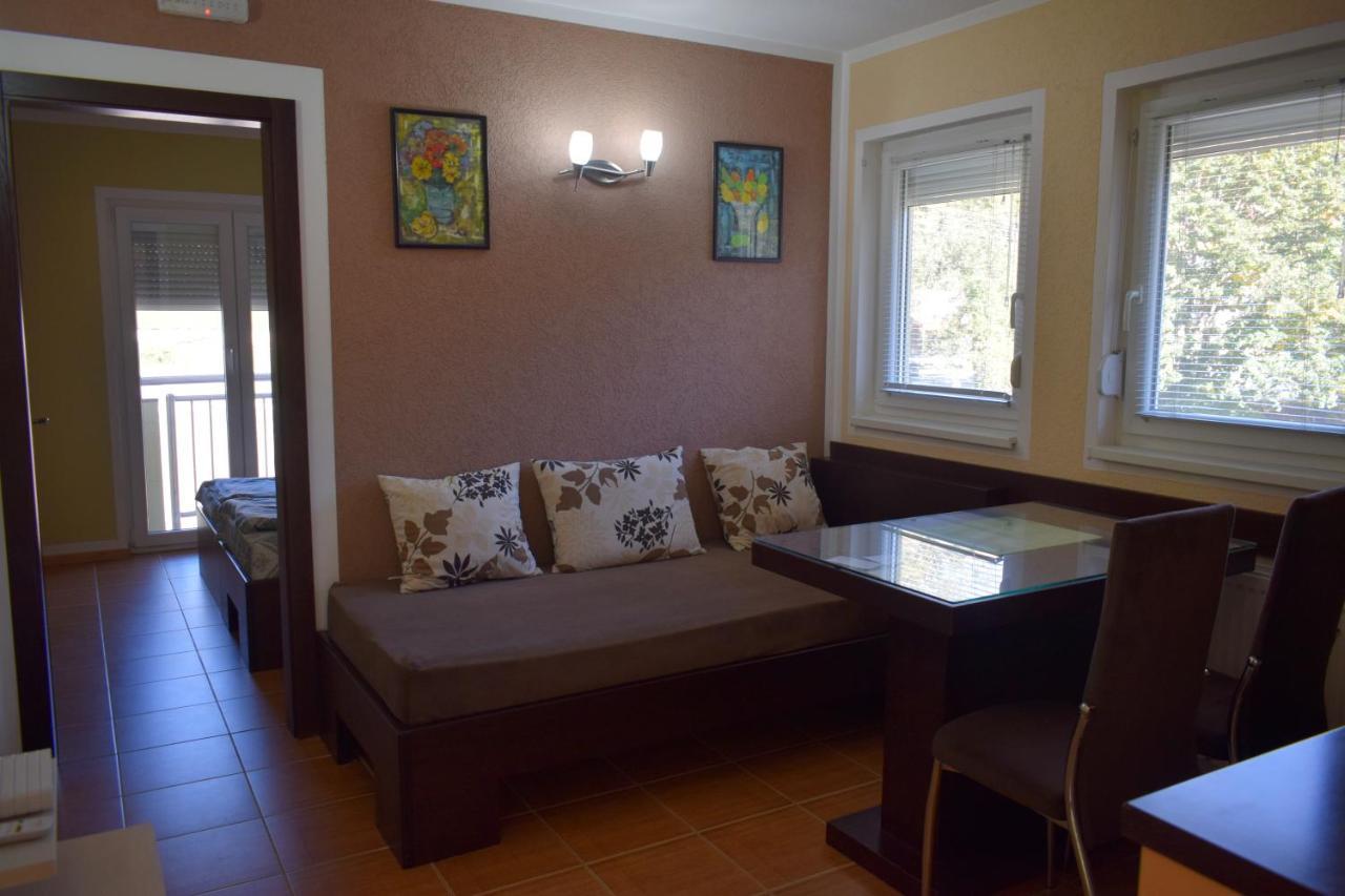 Apartmani Radoicic Josanicka Banja 外观 照片