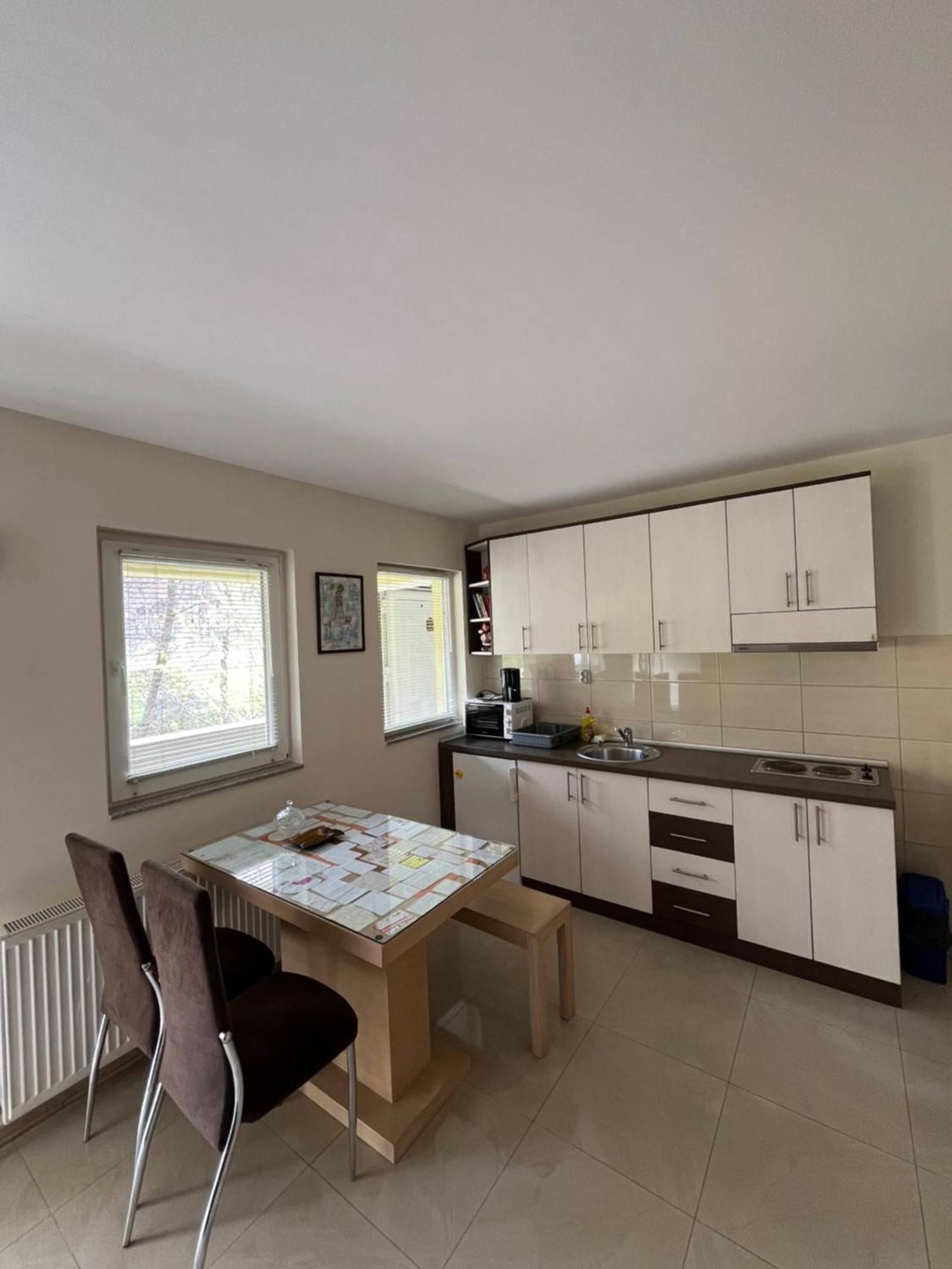 Apartmani Radoicic Josanicka Banja 外观 照片