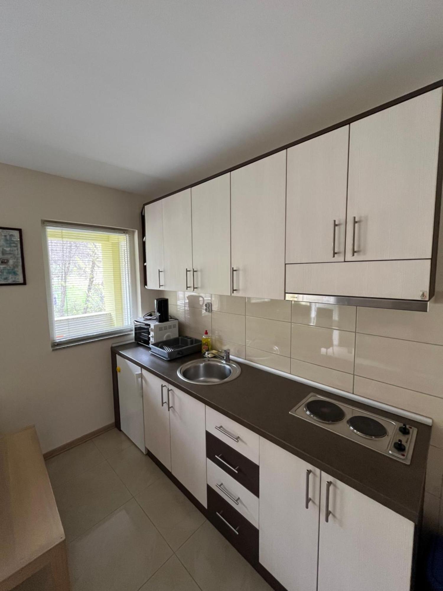 Apartmani Radoicic Josanicka Banja 外观 照片