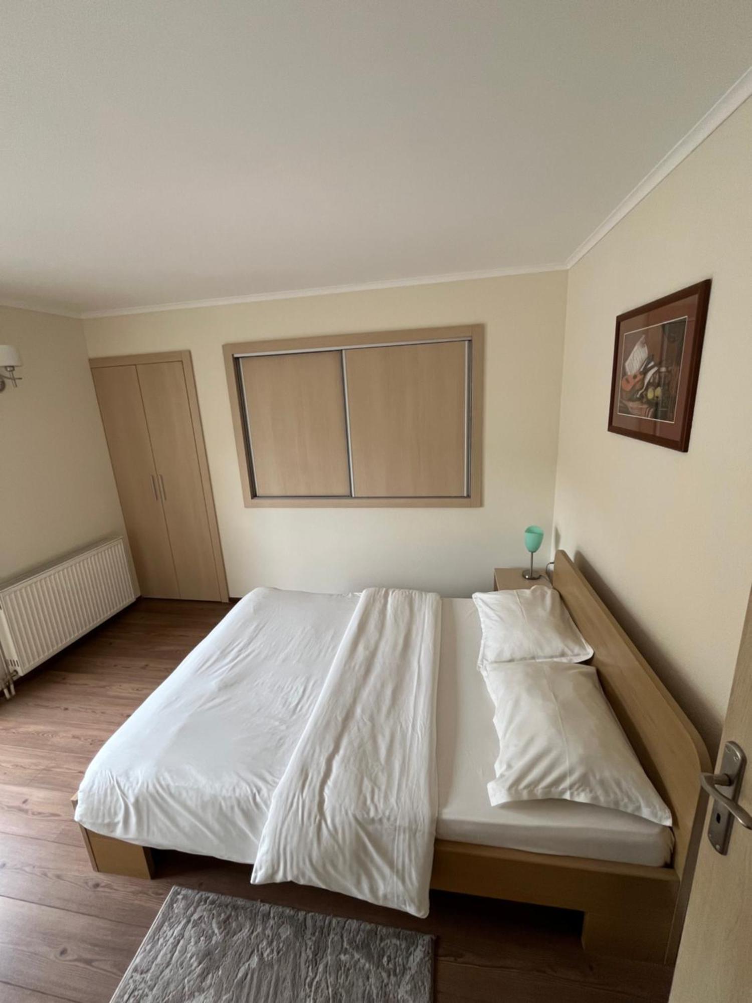 Apartmani Radoicic Josanicka Banja 外观 照片
