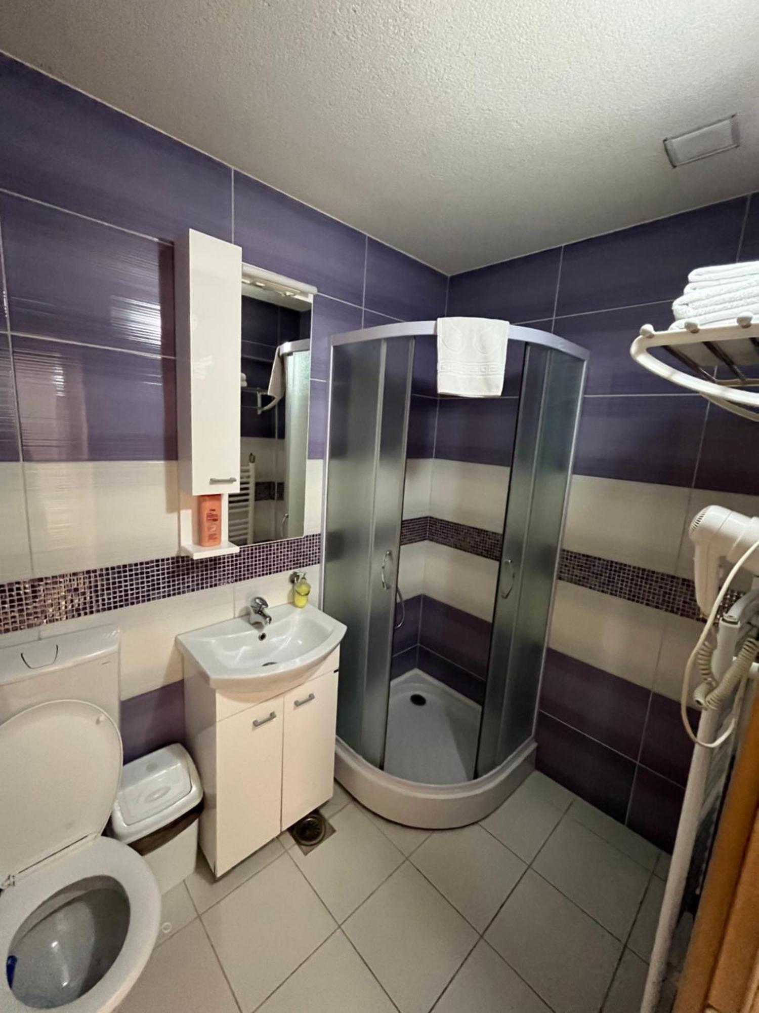 Apartmani Radoicic Josanicka Banja 外观 照片